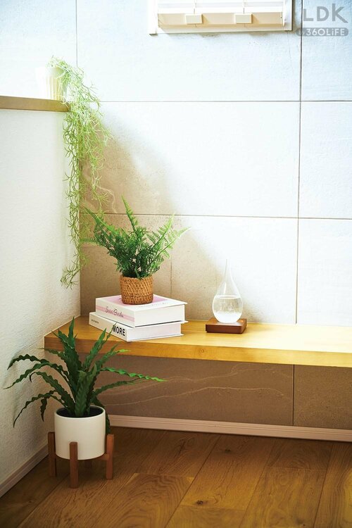 鉢までオシャレにこだわって見た目も質もお値段以上 イメージ