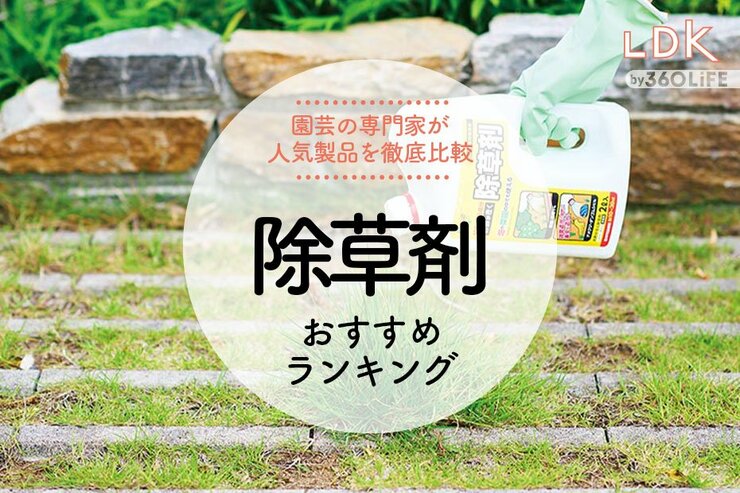 除草剤のおすすめランキング。強力で安い人気商品を徹底比較