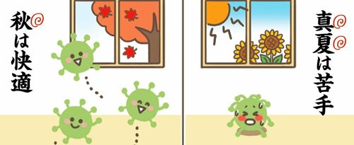 かびは実は真夏は苦手で、秋は快適 防カビ剤おすすめ イメージ