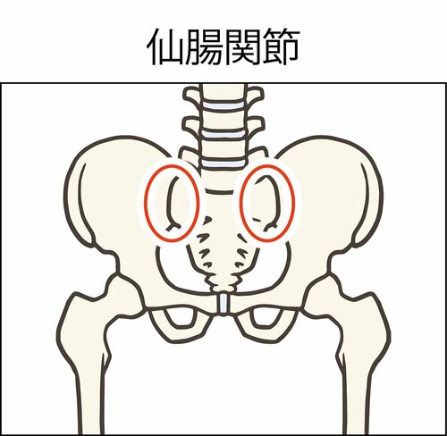 プレママ・ママ的にこんな骨盤ベルトがベスト！ 骨盤ベルトおすすめ イメージ