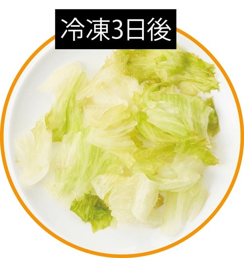 冷凍3日後 野菜の冷凍保存方法おすすめ イメージ