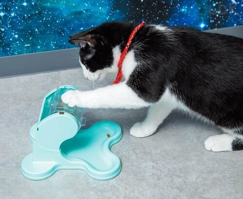 フードをゲットできた達成感を味わいやすい 猫用おもちゃおすすめ イメージ3