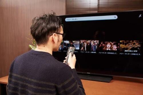チェック④音声検索:言いにくい番組名やタイトルを性格に認識して幅広く探せるか?
