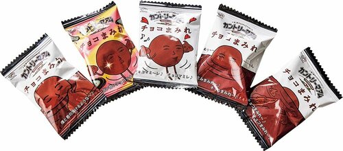 不二屋「カントリーマアム チョコまみれ」