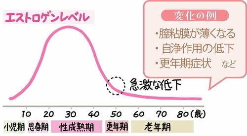 エストロゲンの低下で肌トラブルにつながる傾向に デリケートゾーン用保湿アイテムおすすめ イメージ