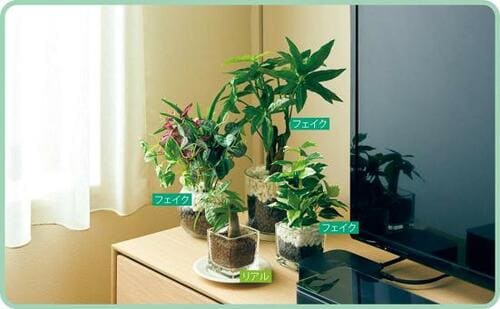 ニトリ「グリーン寄せ植え ガラスポット」 イメージ2