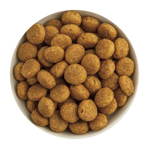 ドッグフードおすすめ ペットライン プロフェッショナル・バランス 1歳から イメージ2