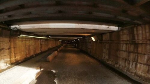 画質対決はまさかの結果!本家GoProとほぼ同レベルでした イメージ4