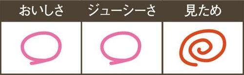 うまみも塩味も強いロシア産のサケ