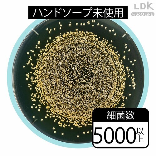 5000個以上の黄色ブドウ球菌をしっかり除菌! LDKベストバイ泡ハンドソープおすすめ イメージ