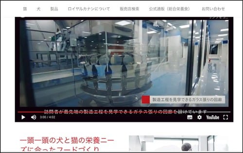 信頼性 猫用ドライフードおすすめ イメージ2