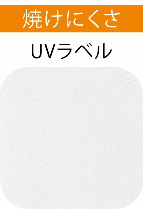 検証1:焼けにくさ
