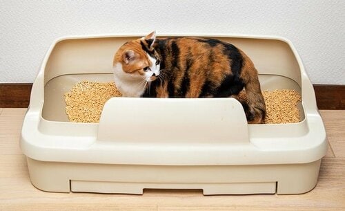 日本のトイレのなかではトップクラスの大きさ 猫用トイレおすすめ イメージ2