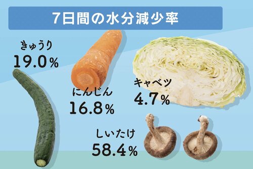 どんな野菜もうるおいキープ。使い切り野菜BOXが便利です 冷蔵庫おすすめ イメージ