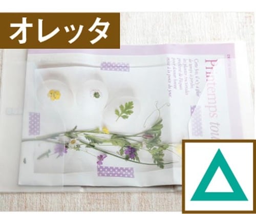 ［実力アリまくり！］カードもA4チラシも何でも入るホルダー イメージ3