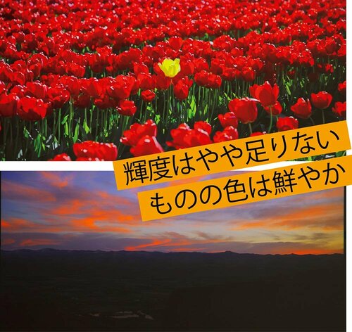 明るい部屋でも色が鮮やかで輝度も上がって見えます XGIMI「MoGo 2 Pro」おすすめ イメージ