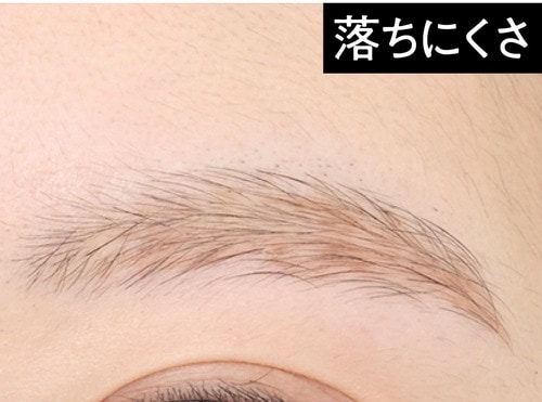 落ちにくさ 落ちにくいアイブロウおすすめ イメージ
