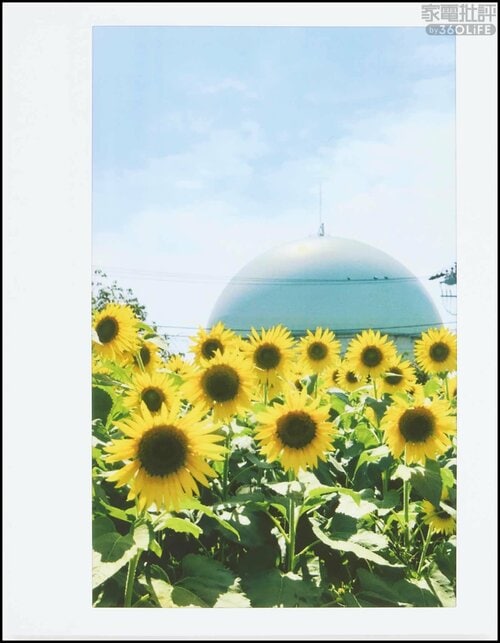 アナログ感のある柔らかい描写 フォトプリンターおすすめ イメージ