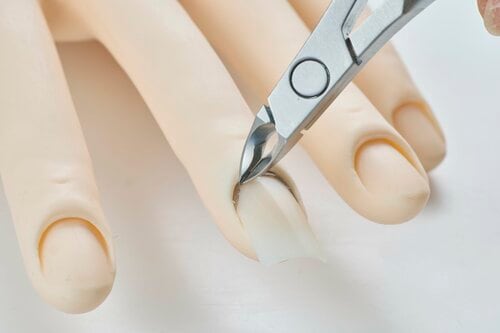 切れ味:ストレスなく甘皮をキャッチ キューティクルニッパーおすすめ イメージ