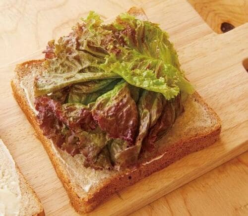 ベジタブル サンドイッチ イメージ3