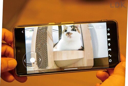 ペットカメラとは？ ペットカメラおすすめ イメージ