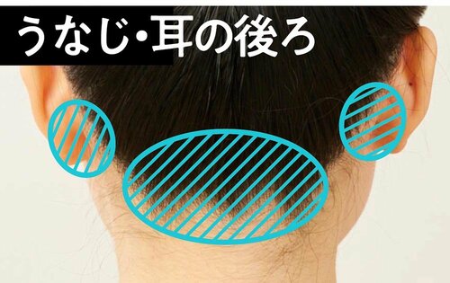 洗い忘れがちな部分は最初に洗おう シャンプーブラシおすすめ イメージ2