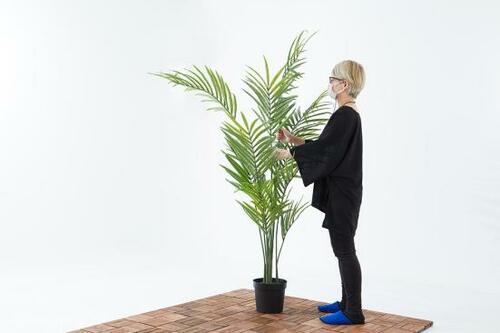 IKEA「FEJKA フェイカ 人工観葉植物, 室内／屋外用 ケンチャヤシ」 イメージ2