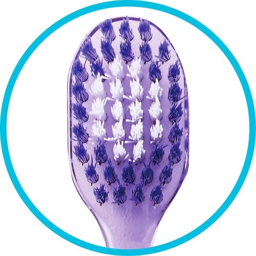 歯ブラシおすすめ エビス ゼロプレミアム ケア・リッチ レギュラー ふつう イメージ3