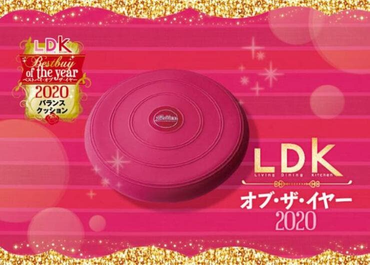 座りながら鍛える！ K&G「バランスクッションDX」｜LDK・オブ・ザ・イヤー2020