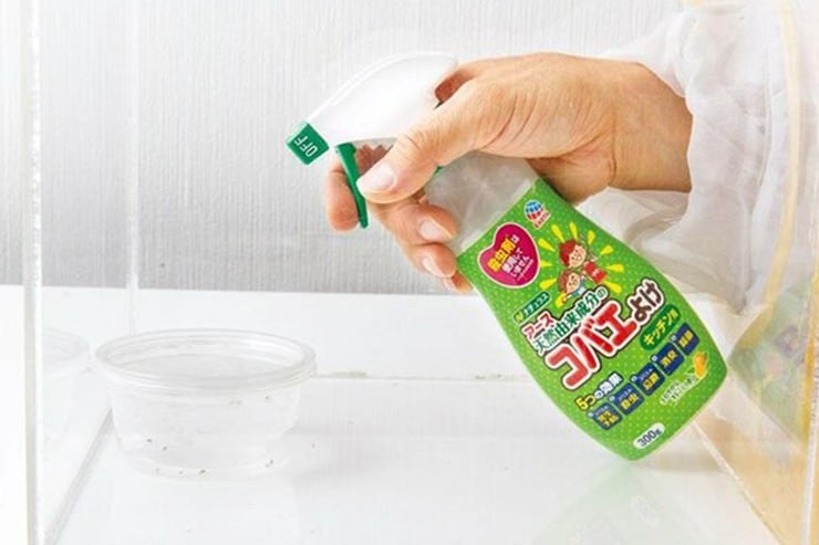 やだ、コバエが湧いてる！ …ワンプッシュで壊滅できるってご存知ですか？LDKが5製品をテスト