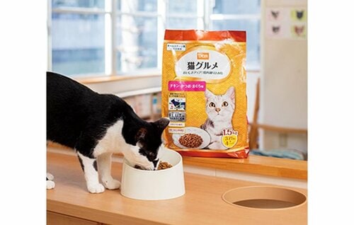 分包しているからおいしさキープ 猫用ドライフードおすすめ イメージ2