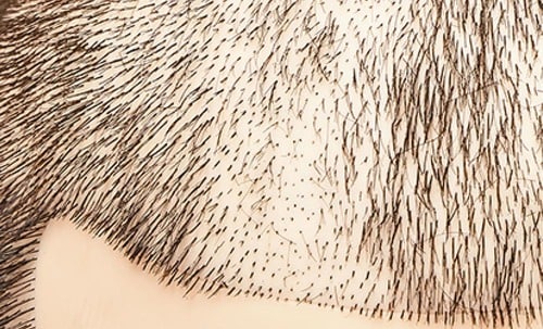 10製品中No.1の切れ味 イメージ