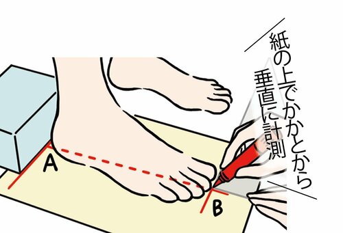 (1)かかとから一番長い指の先まで測定する イメージ