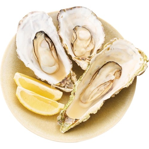 牡蠣通販おすすめ e Oyster by General Oyster group 選べる真牡蠣 3産地 12個セット イメージ