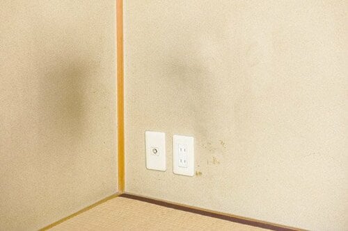 凸凹した壁にはマイペットと歯ブラシを使えばバッチリ！ イメージ