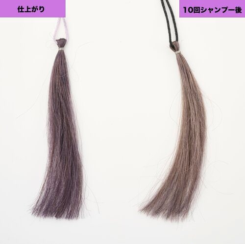明るい髪色には上品な色が出た パープル（紫）のヘアカラーおすすめ イメージ2
