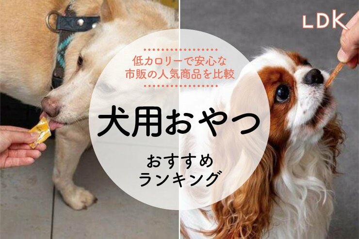 犬用おやつのおすすめランキング。LDKが市販のジャーキー、ペーストタイプを比較