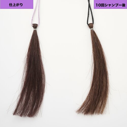 パープルのニュアンスが欲しい人向け　 パープル（紫）のヘアカラーおすすめ イメージ