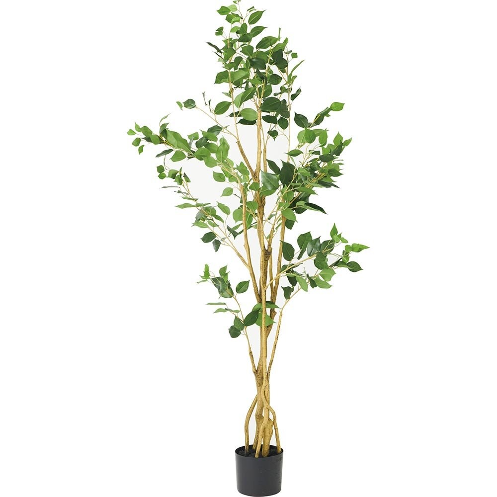 22年 フェイクグリーンのおすすめランキング5選 Ldk が徹底比較 360life サンロクマル