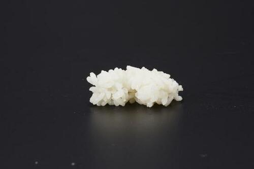 炊きたては高級品に匹敵!香りも甘みもある「NP-ZT10」 象印「極め炊き」シリーズおすすめ イメージ3