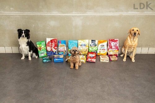 全犬種用ドッグフード ドッグフードおすすめ イメージ