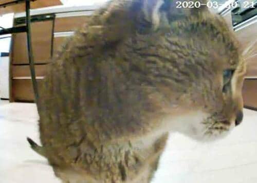 ここが評判：操作が簡単でカメラの映像がキレイ！ イメージ