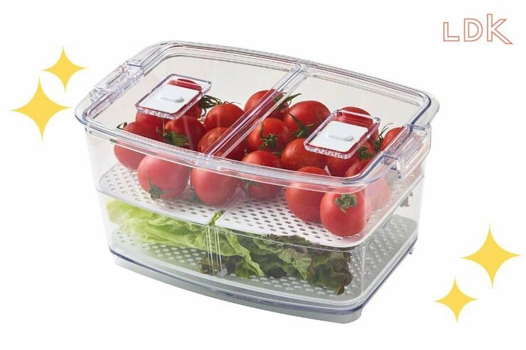 ニトリの保存容器なら野菜ロスが減りそう！ サイズ違いで欲しくなっちゃう理由【LDK】