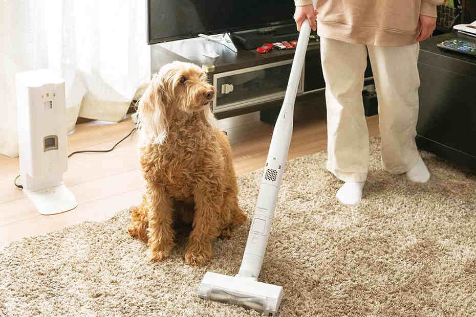 革新的なデザインが大人気！パナソニックのスティック型掃除機「MC