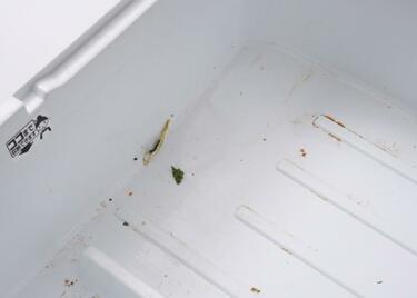 茶シミだらけの野菜室がこんなにまっ白になるなんて その理由がこちらです 360life サンロクマル