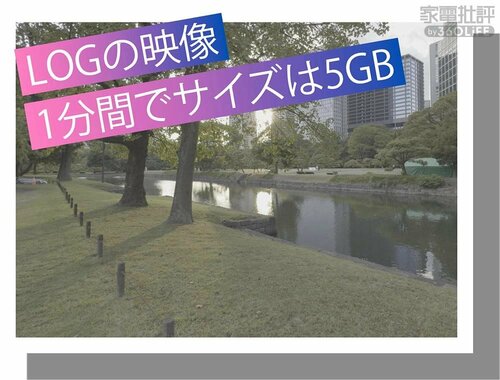 まとめ：ベストバイはPro Maxだけどコスパが光るPlusをあえて推したい iPhone 15おすすめ イメージ