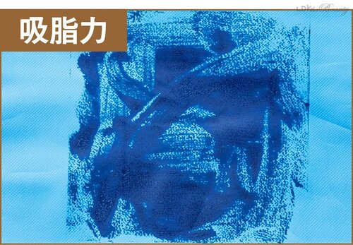 吸脂力 脂性肌を救い隊おすすめ イメージ