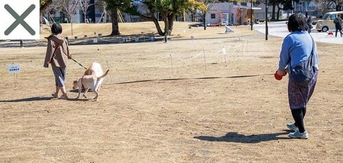 伸縮タイプはロックして散歩をする 犬用リードおすすめ イメージ