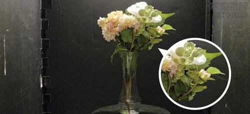 動画：暗所。動画は「Galaxy S25 Ultra」が配信向き［優秀］ ハイエンドスマホおすすめ イメージ