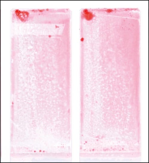 洗浄力 ボディソープおすすめ イメージ